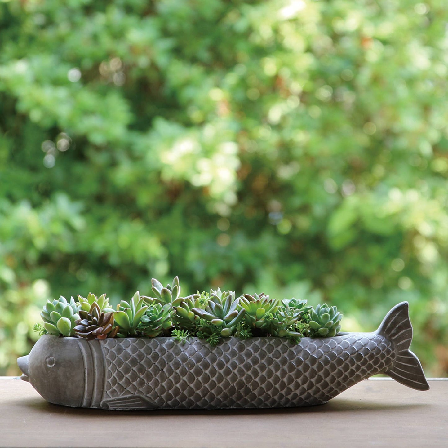 Large Grey Koi Planter